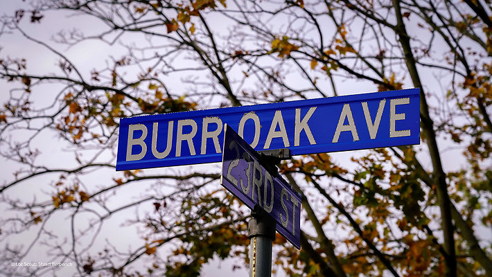 Berwyn, IL 6