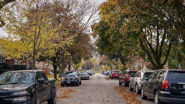 Berwyn, IL 14