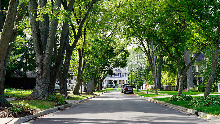 Glen Ellyn 21