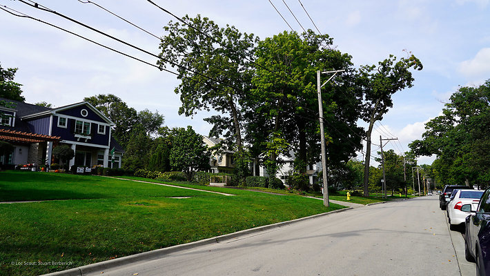 Glen Ellyn 35
