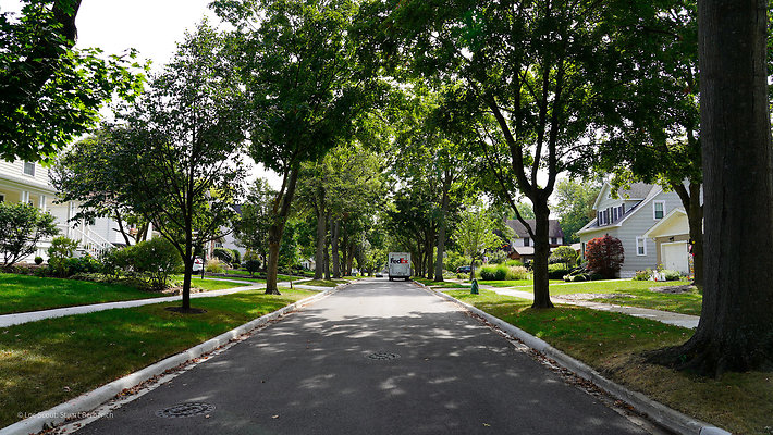 Glen Ellyn 16