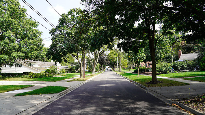 Glen Ellyn 24