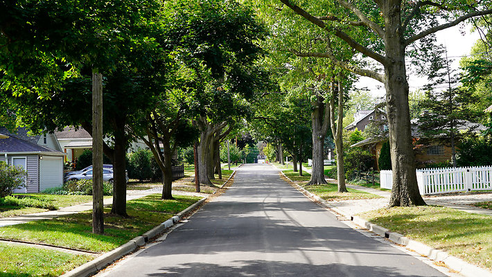 Glen Ellyn 15