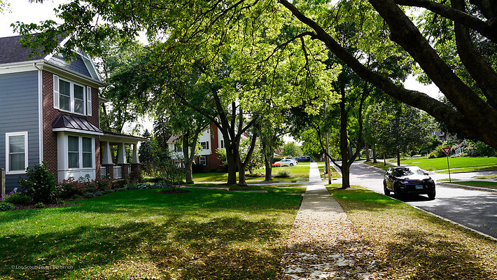 Glen Ellyn 20