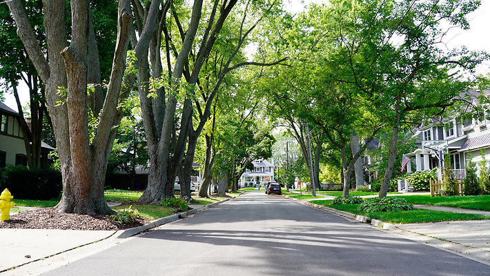 Glen Ellyn 23