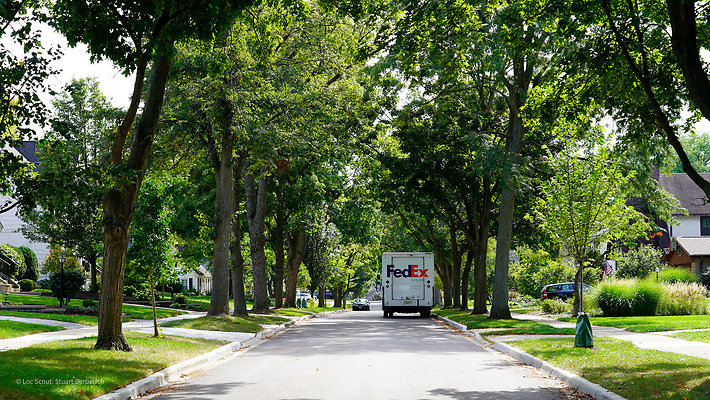 Glen Ellyn 17