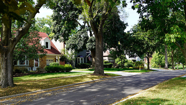 Glen Ellyn 6