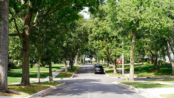 Glen Ellyn 8