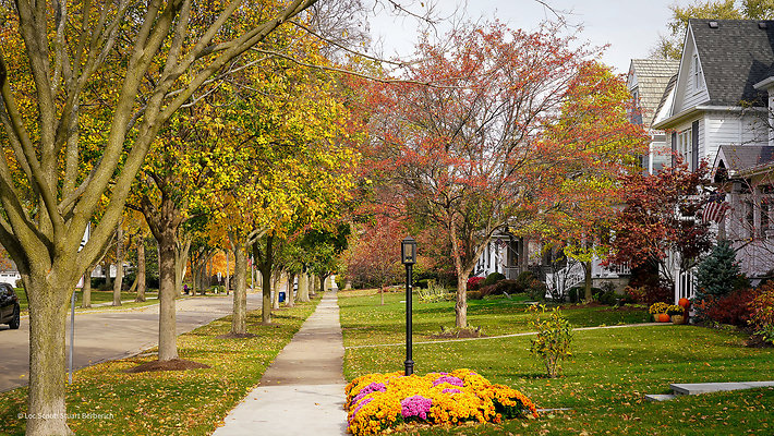 Hinsdale, IL 35