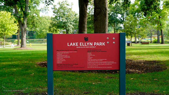 Lake Ellyn Park 2