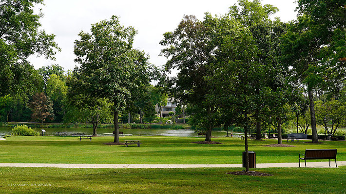 Lake Ellyn Park 4