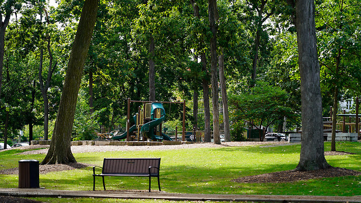 Lake Ellyn Park 15