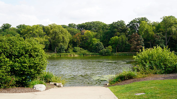 Lake Ellyn Park 10