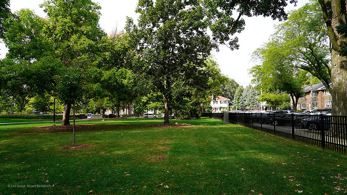 Memorial Park - Wheaton 3