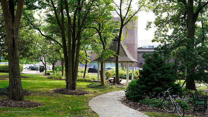Adams Park - Wheaton 15