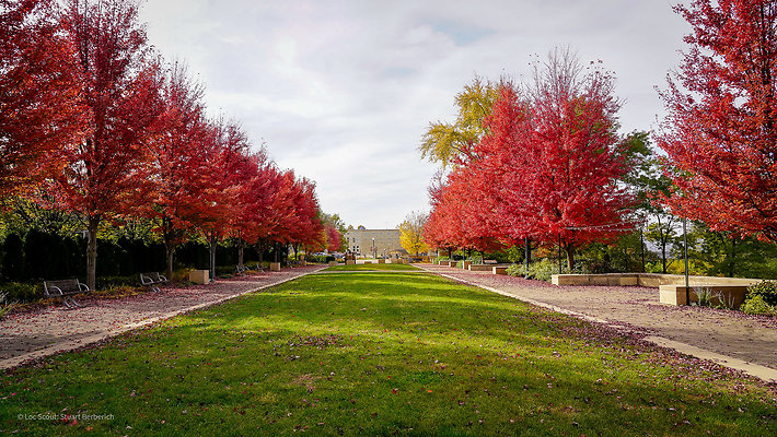 Lockport, IL 106