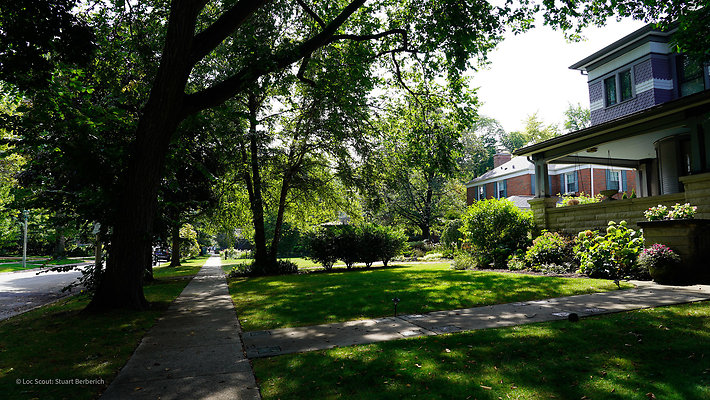 Oak Park Suburban Streets