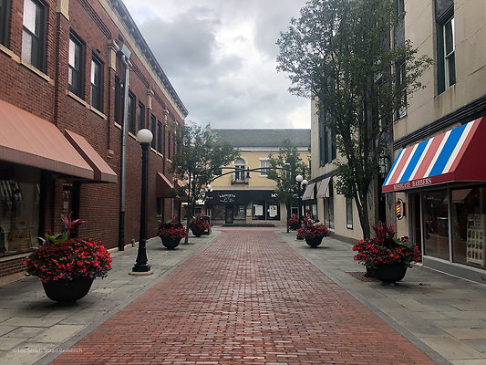 Oak Park 14