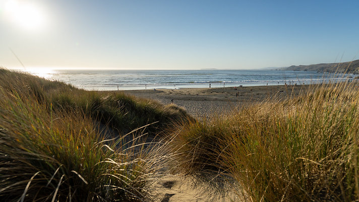 beach and dunes