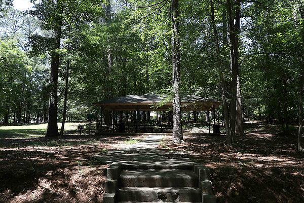 murphy candler park