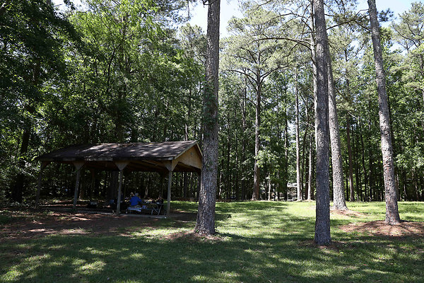 Brook Run Park 0009