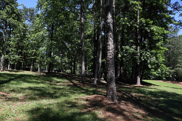 Brook Run Park 0004