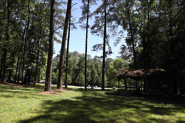 Brook Run Park 0007