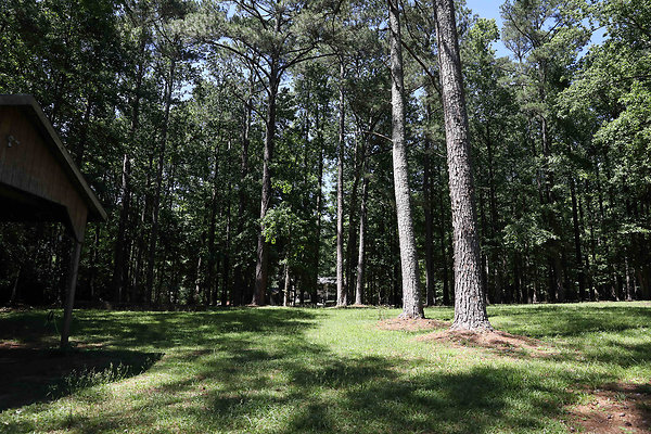 Brook Run Park 0003