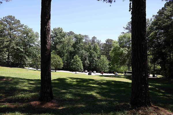 Brook Run Park 0006