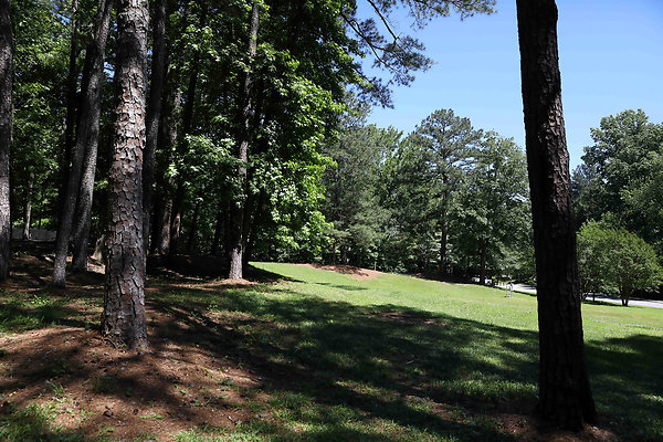 Brook Run Park 0005