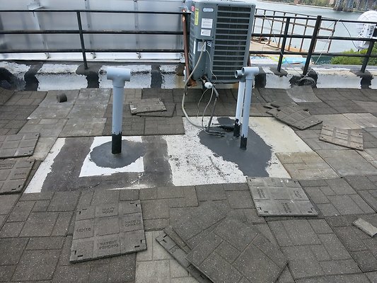 IMG 7561-XL