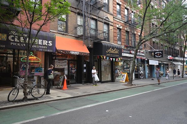 DSC 2537