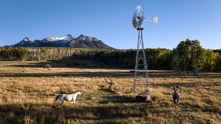 last dollar ranch