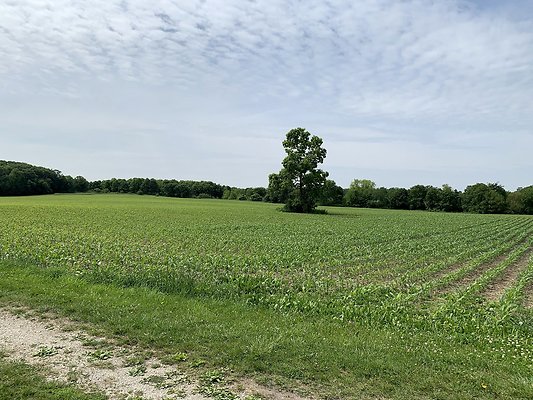 5920 Minkler Rd Yorkville, IL60