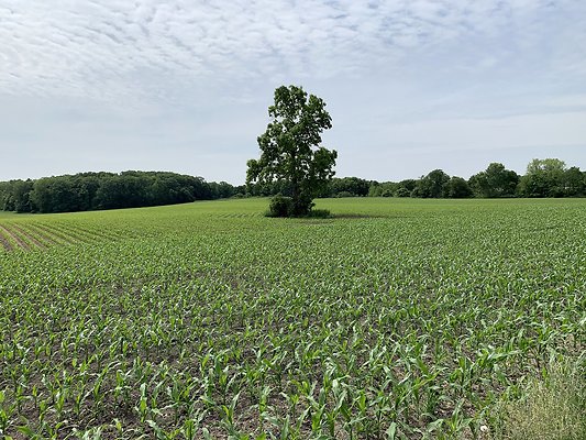 5920 Minkler Rd Yorkville, IL52