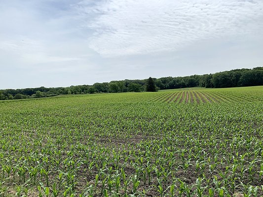 5920 Minkler Rd Yorkville, IL56