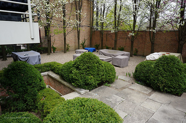 1417 N Hoyne 5