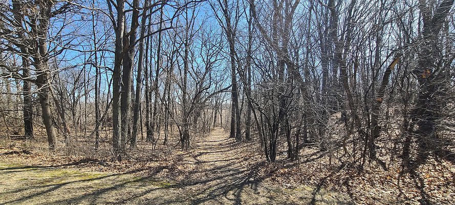 27125 N Williams Park Rd Wauconda, IL 38