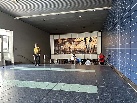 IMG 1410 - www.scout911.com
