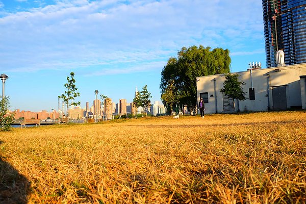 TRANSMITTER PARK0061-X4 - www.scout911.com