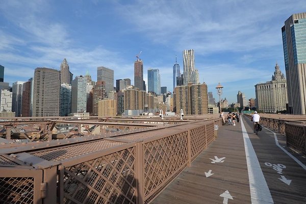 DSC 3669