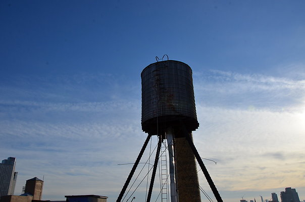 DSC 2353