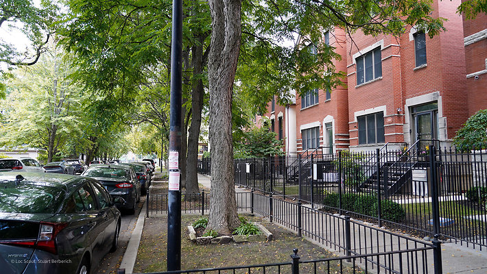 2128 W Schiller 20