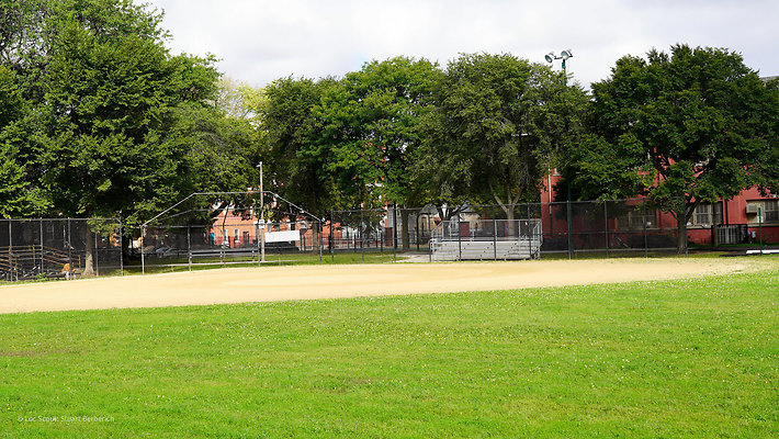 Pilsen Parks 8