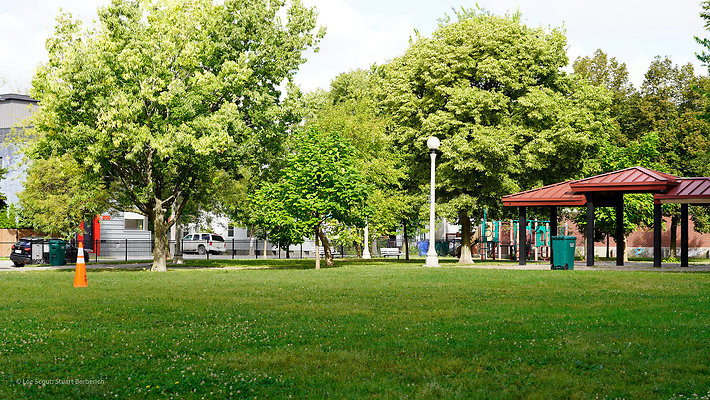 Pilsen Parks 36