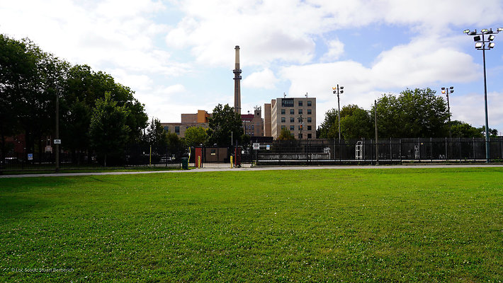 Pilsen Parks 11