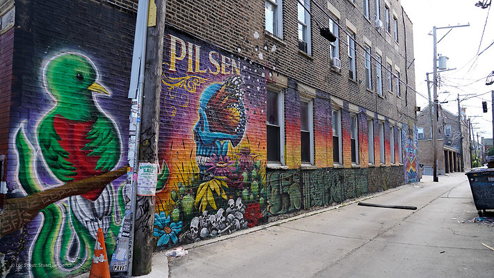 Pilsen Streets 36