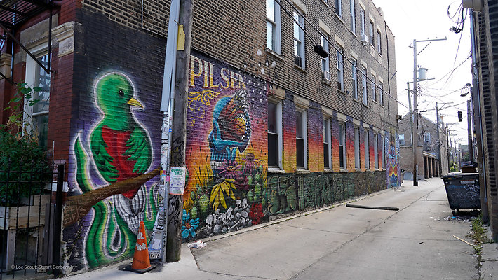 Pilsen Streets 37