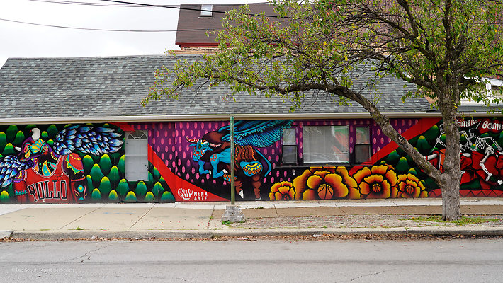 Pilsen Parks 74