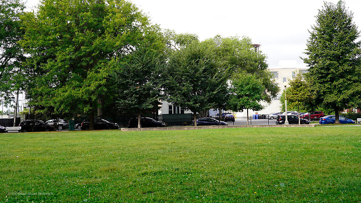 Pilsen Parks 32